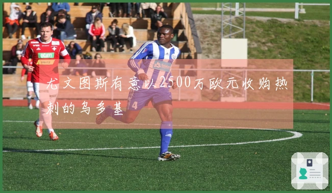 尤文图斯有意以2500万欧元收购热刺的乌多基